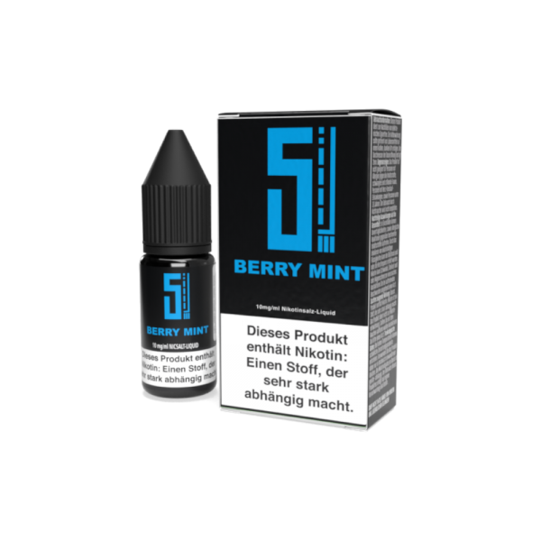 5EL - Berry Mint - Nikotinsalz Liquid